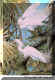 Snowy Egret.jpg (72178 bytes)