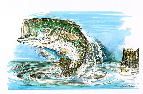 Jumping Bass.jpg (122176 bytes)